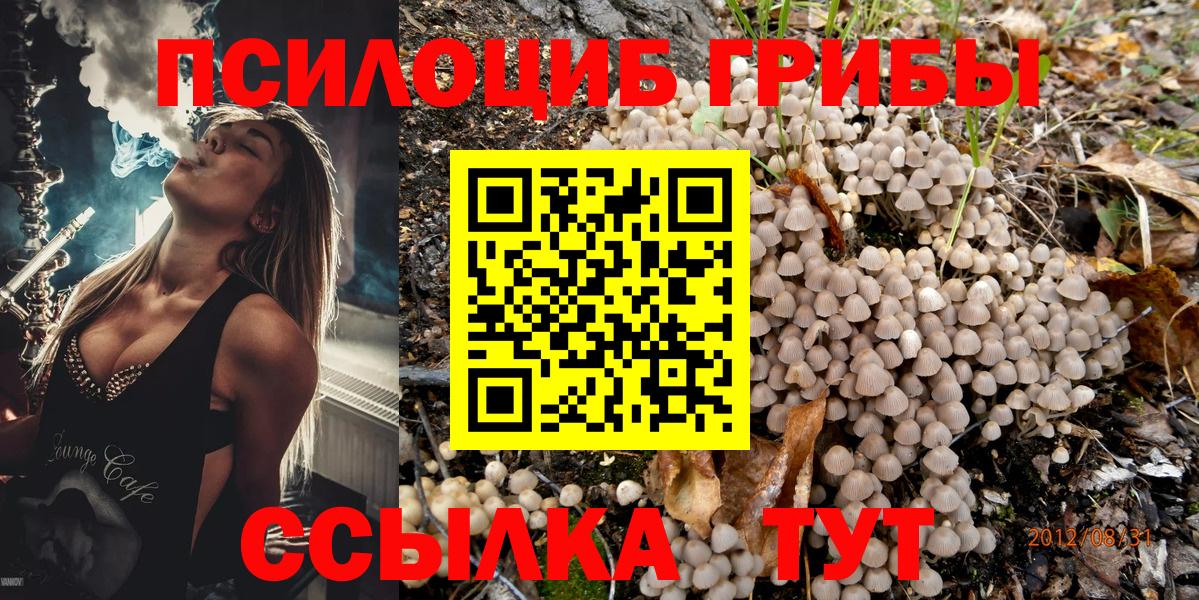Каспийск  Галлюциногенные грибы мицелий  Вход с VPN 